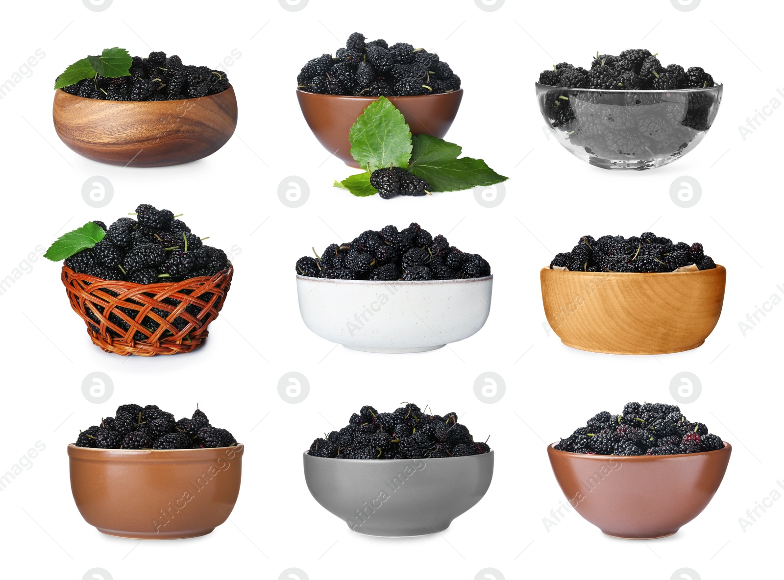 Image of Set with bowls of fresh ripe black mulberries on white background