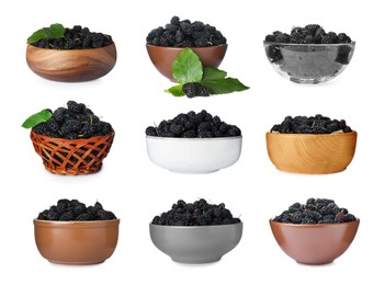 Image of Set with bowls of fresh ripe black mulberries on white background