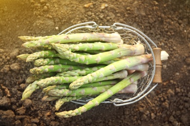 Metal basket with fresh asparagus on ground outdoors, top view