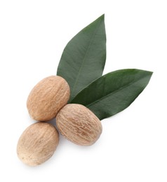 Nutmeg seeds with green leaves on white background, top view