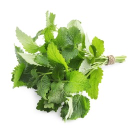 Bunch of fresh lemon balm on white background