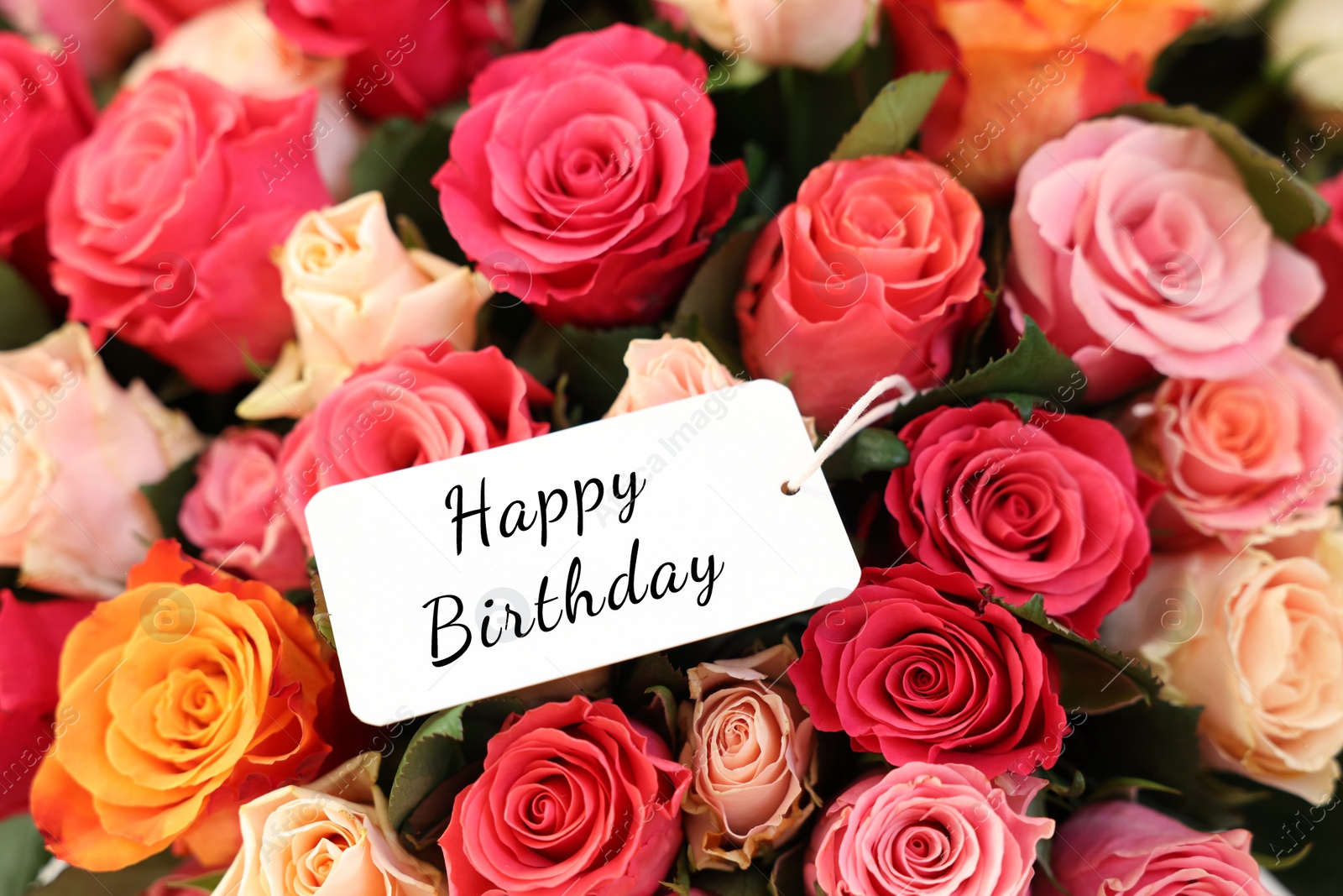 Image of Bouquet of beautiful roses with Happy Birthday card, closeup