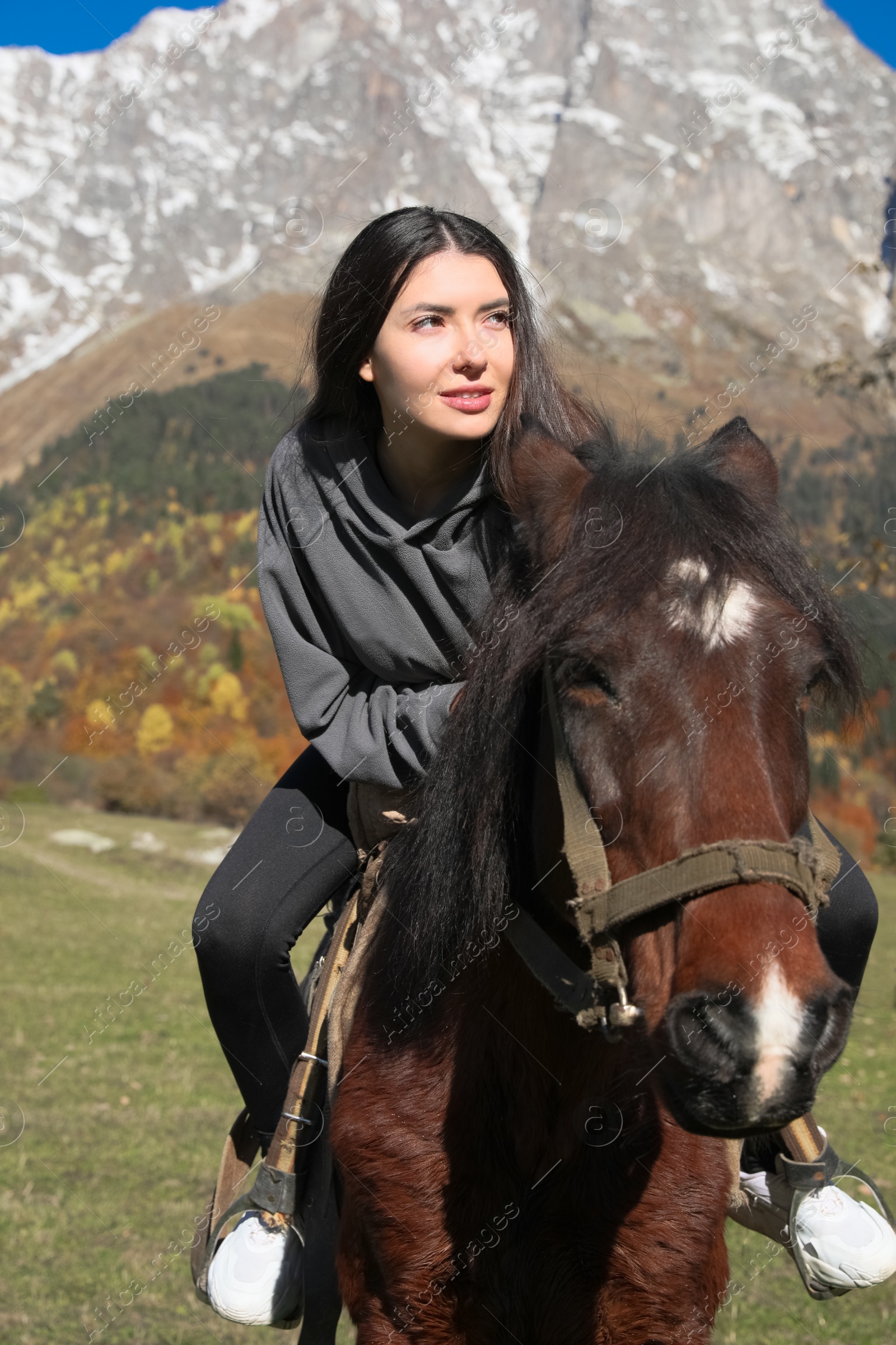 Photo of Young woman riding horse in mountains on sunny day. Beautiful pet