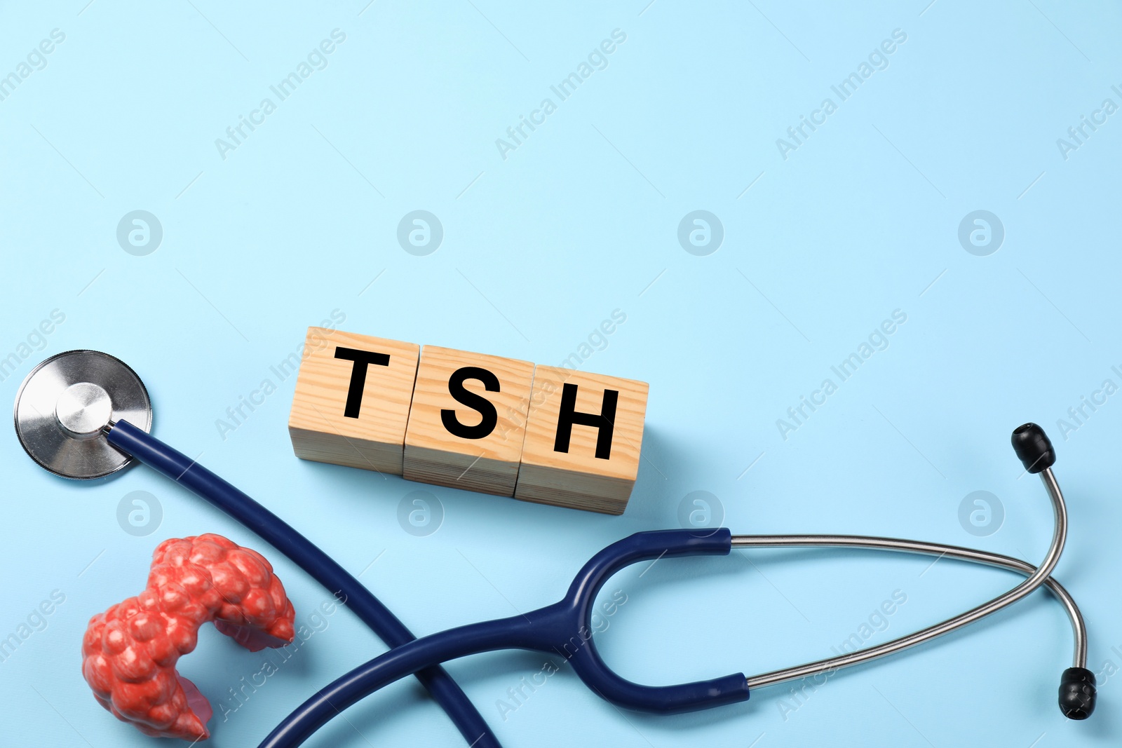Photo of Endocrinology. Stethoscope, wooden cubes with thyroid hormones and model of gland on light blue background. Space for text