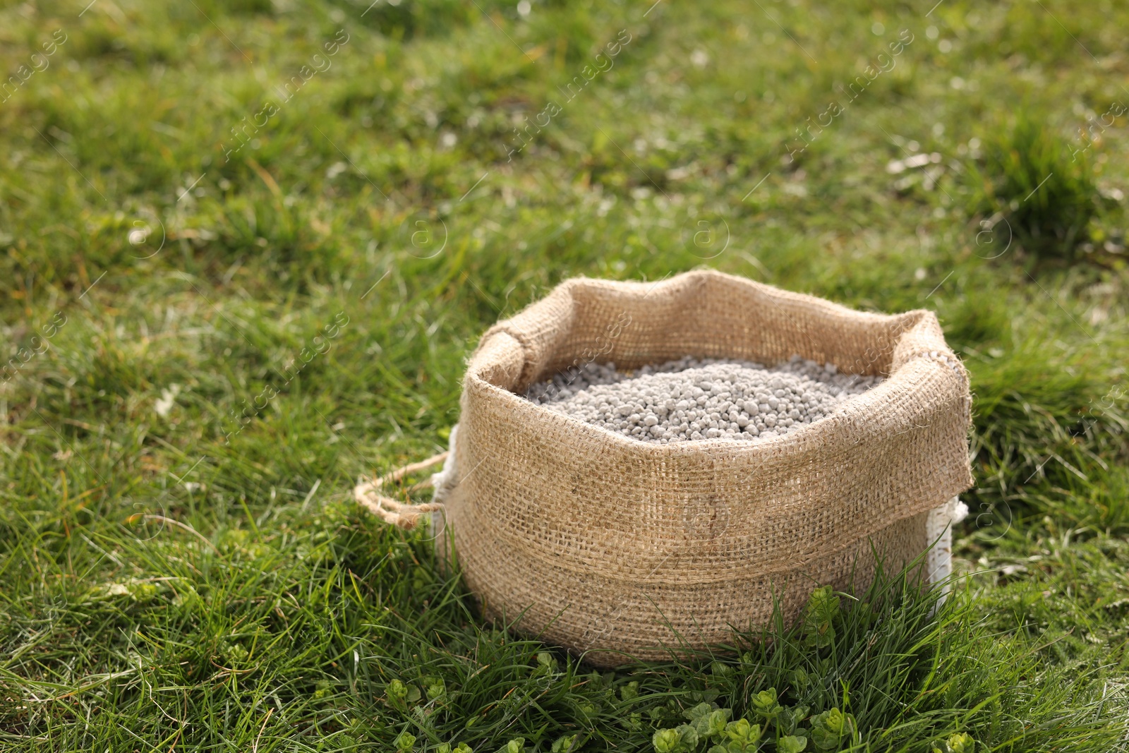 Photo of Fertilizer in bag on green grass outdoors