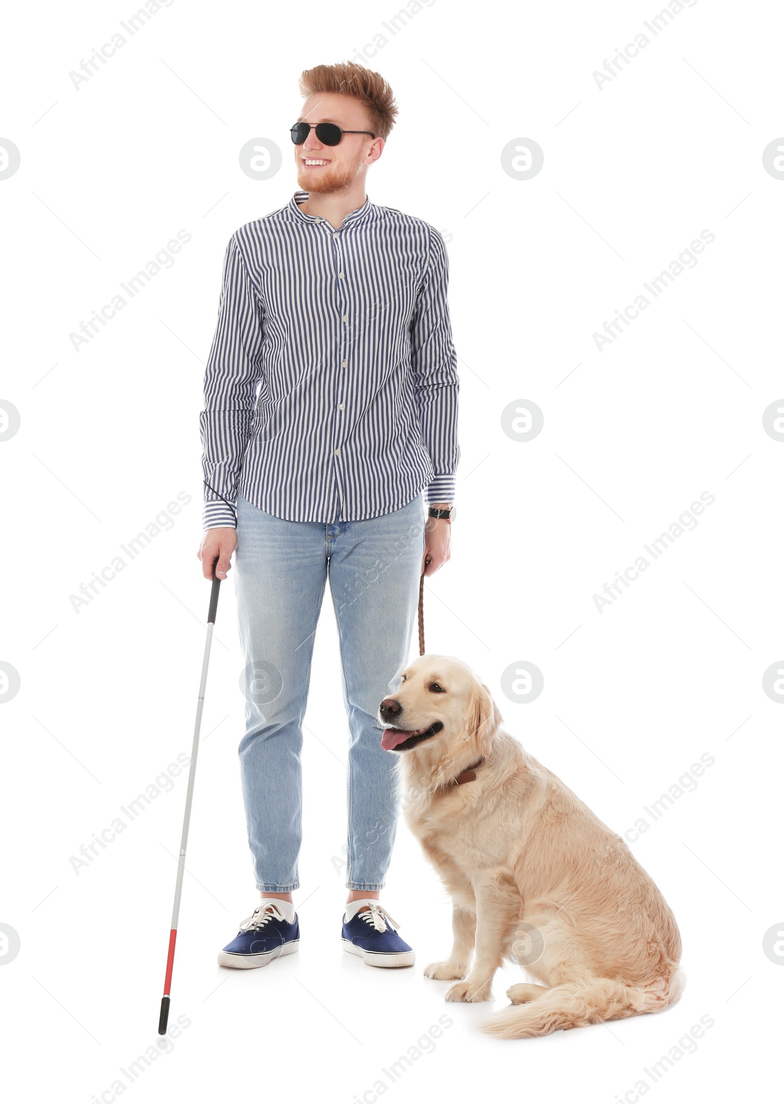 Photo of Blind person with long cane and guide dog on white background