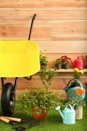 Wheelbarrow with gardening tools and flowers near wooden wall