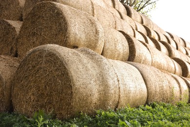 Many hay bales outdoors on sunny day, closeup