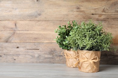 Photo of Aromatic rosemary and oregano growing in pots on white wooden table, space for text