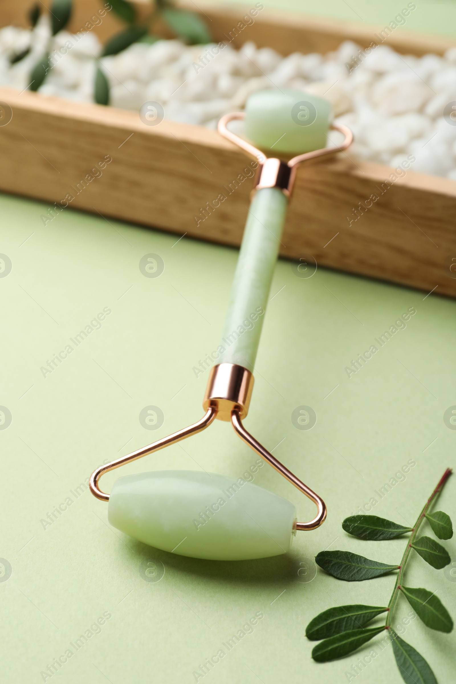 Photo of Natural face roller, stones and leaves on green background