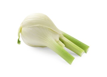 Photo of Fresh raw fennel bulb isolated on white