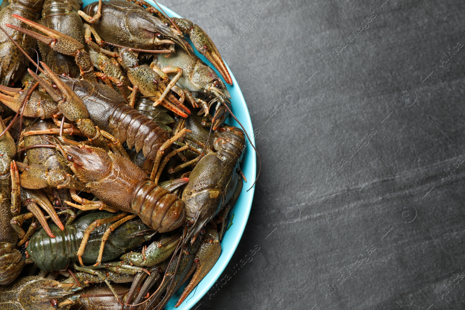 Photo of Fresh raw crayfishes on black table, top view. Space for text