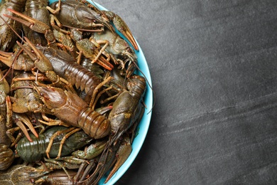 Photo of Fresh raw crayfishes on black table, top view. Space for text