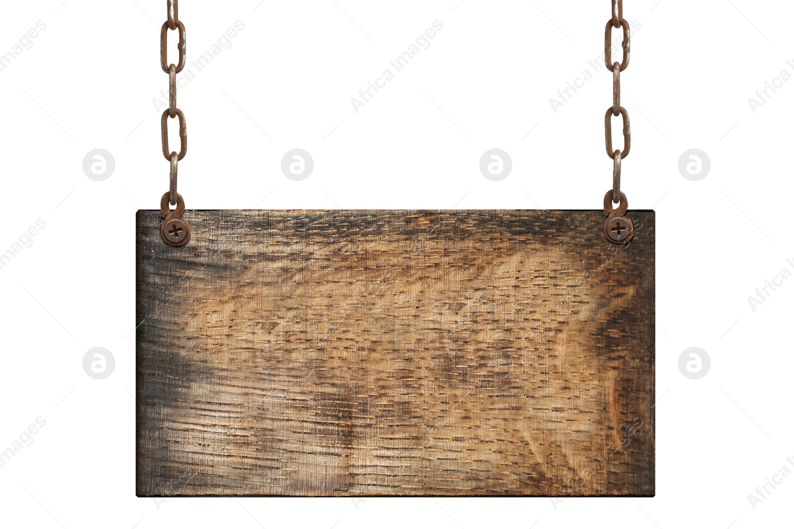 Image of One wooden signboard hanging on metal chain against white background. Space for text