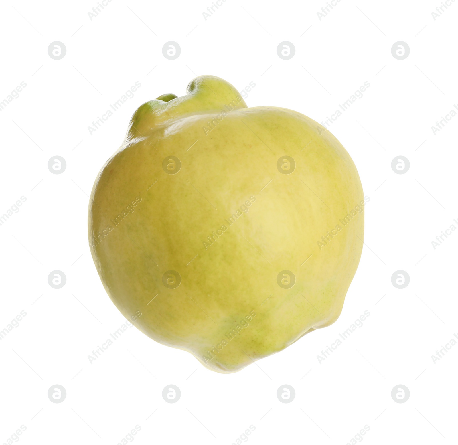 Photo of Fresh ripe quince fruit on white background