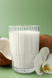 Glass of delicious vegan milk, coconuts and flower on green background