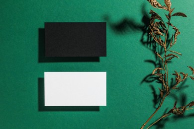 Empty business cards and dried plant on green background, flat lay. Mockup for design