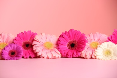 Photo of Beautiful flowers on table against color background