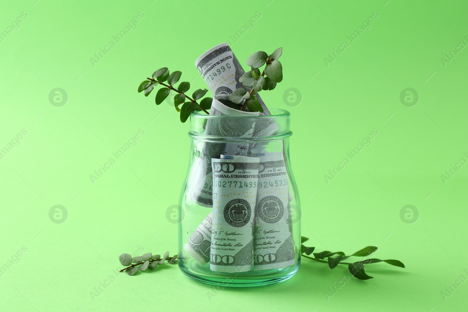 Photo of Financial savings. Dollar banknotes in glass jar and twigs on green background