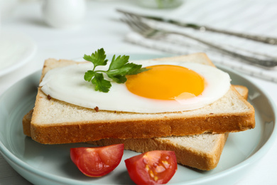 Photo of Tasty fried egg with bread and tomato on plate, closeup