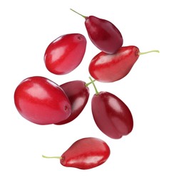 Image of Many fresh dogwood berries falling on white background