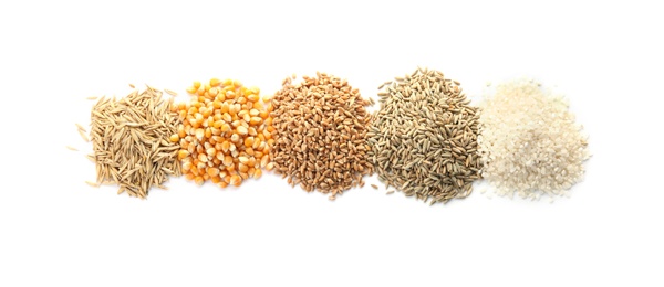 Different types of grains and cereals on white background