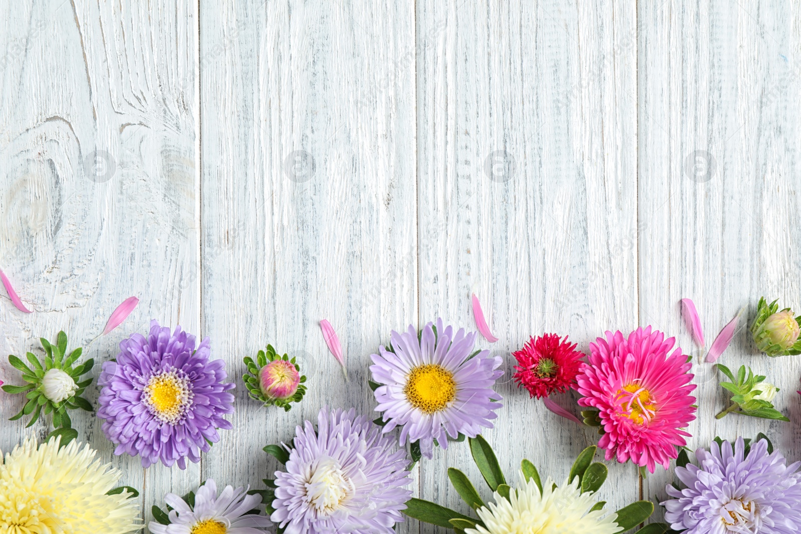 Photo of Flat lay composition with beautiful aster flowers on white wooden table. Space for text