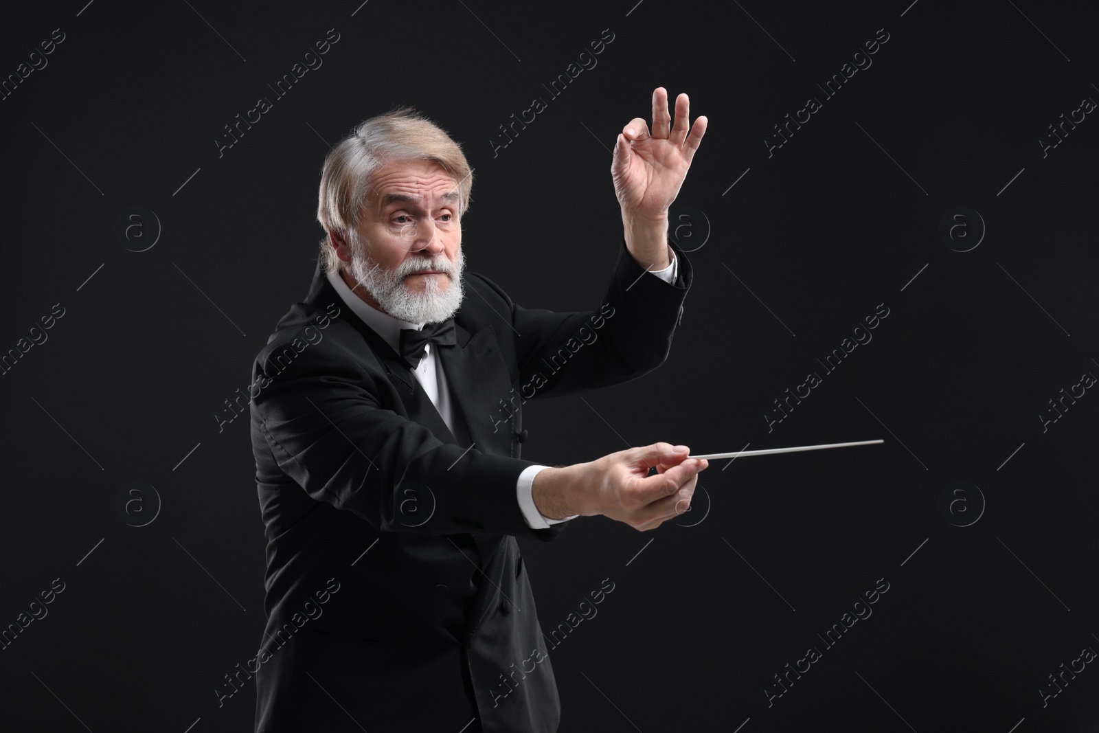 Photo of Professional conductor with baton on black background