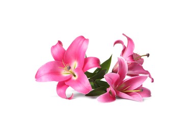 Photo of Beautiful pink lily flowers isolated on white