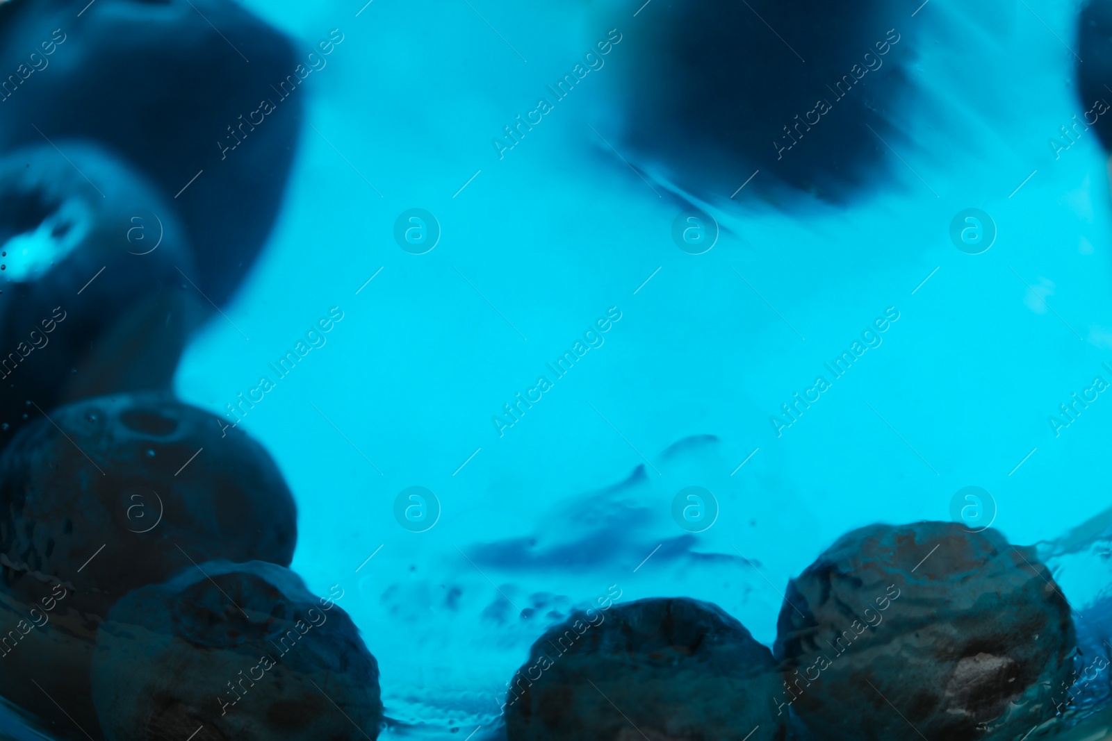 Photo of Delicious fresh blue jelly with berries as background, closeup