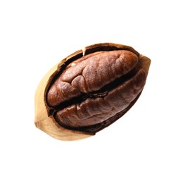 Photo of Tasty pecan nut with shell isolated on white