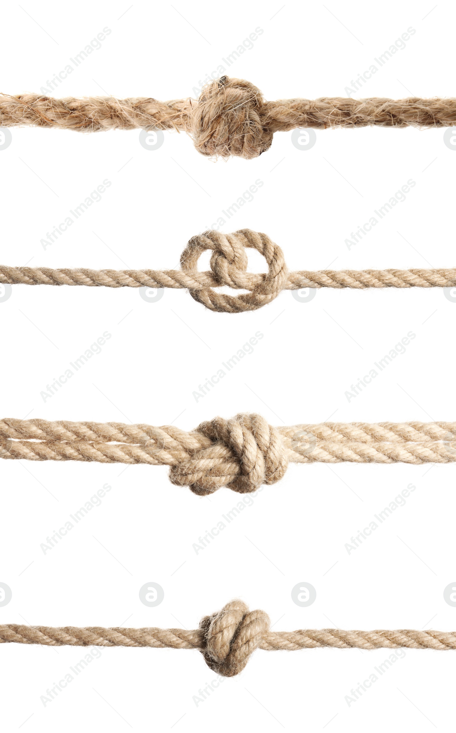 Image of Set of hemp ropes with knots on white background