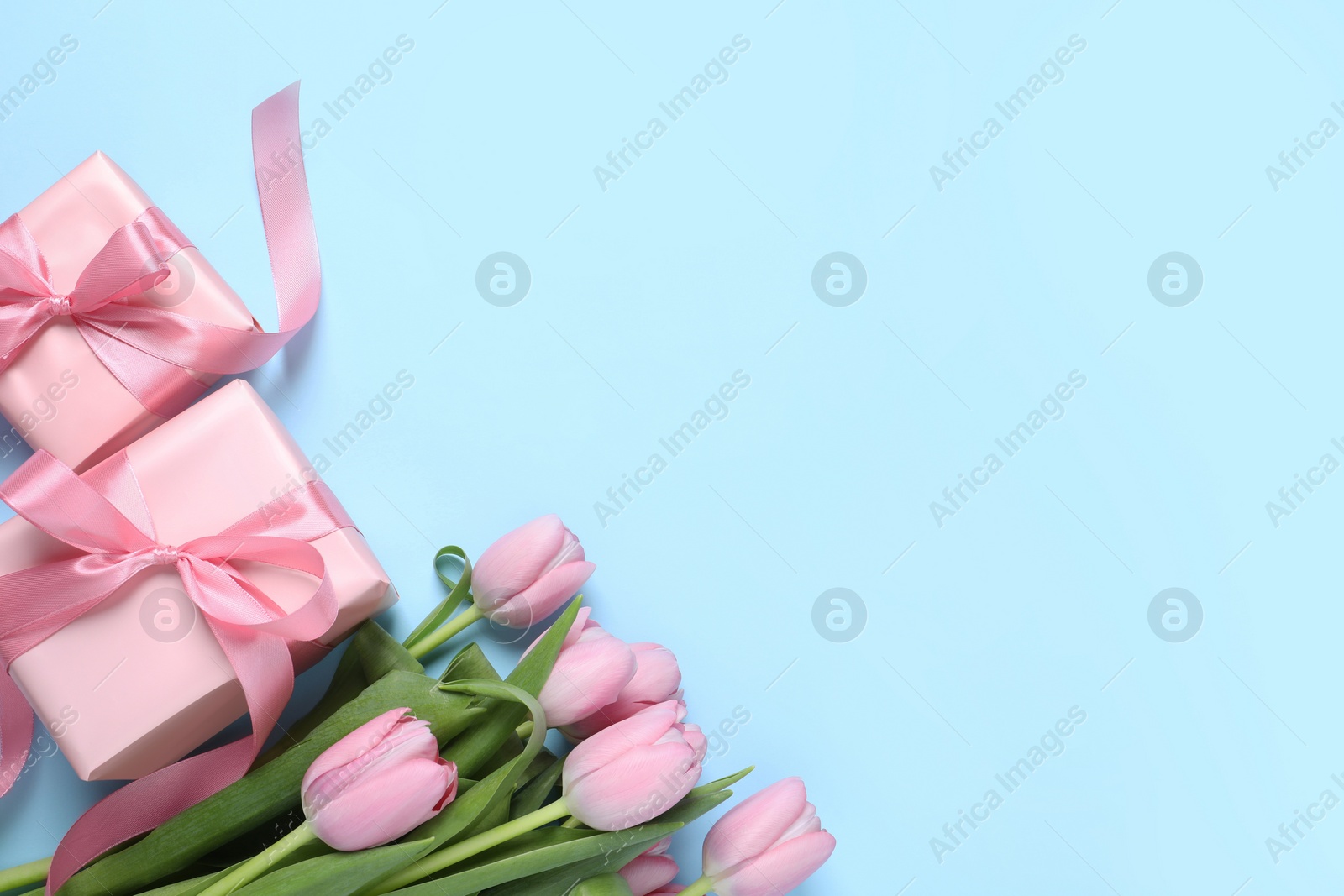 Photo of Beautiful gift boxes and pink tulip flowers on light blue background, flat lay. Space for text