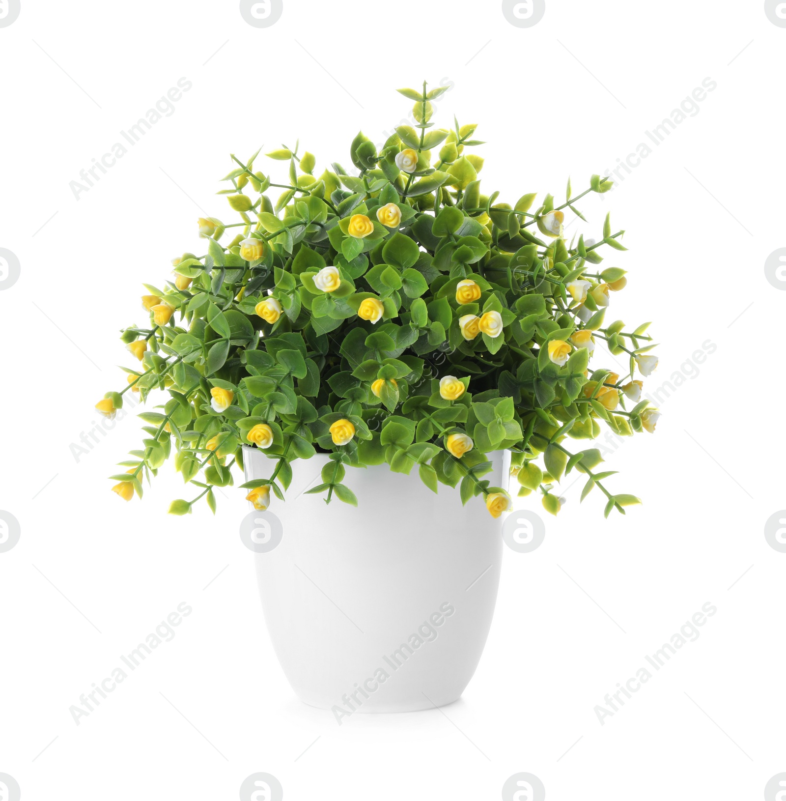 Photo of Beautiful artificial plant in flower pot isolated on white