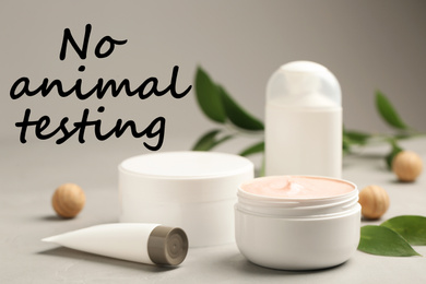 Image of Cosmetic products and text NO ANIMAL TESTING on grey background