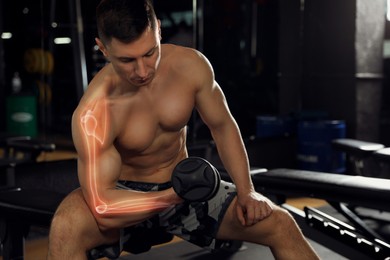 Image of Digital compositehighlighted bones and man working out with dumbbell in gym