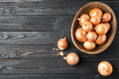 Ripe onion bulbs and basket on black wooden table, flat lay. Space for text