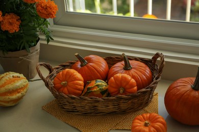 Photo of Many whole ripe pumpkins and potted flowers on windowsill indoors