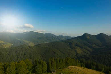 Image of Aerial view of forest and beautiful conifer trees in mountains on sunny day