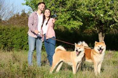 Photo of Owners walking their adorable Akita Inu dogs in park