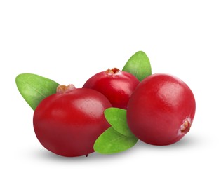 Image of Fresh ripe cranberries with leaves isolated on white