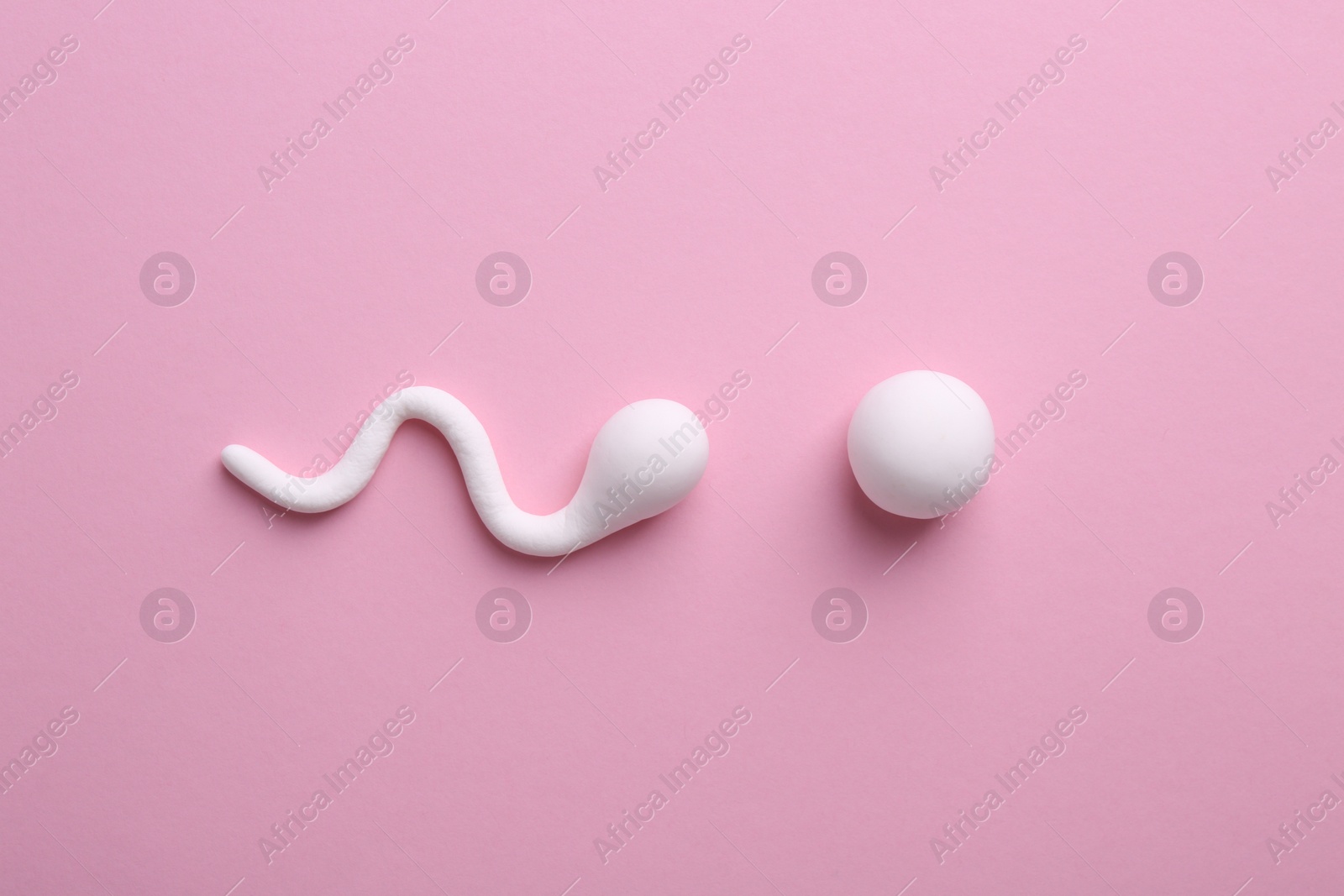 Photo of Fertilization concept. Sperm and egg cells on pink background, top view