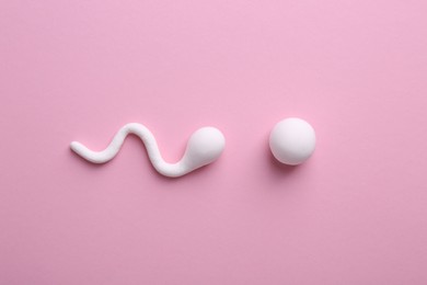 Fertilization concept. Sperm and egg cells on pink background, top view