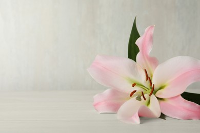 Photo of Beautiful pink lily flower on white wooden table, space for text