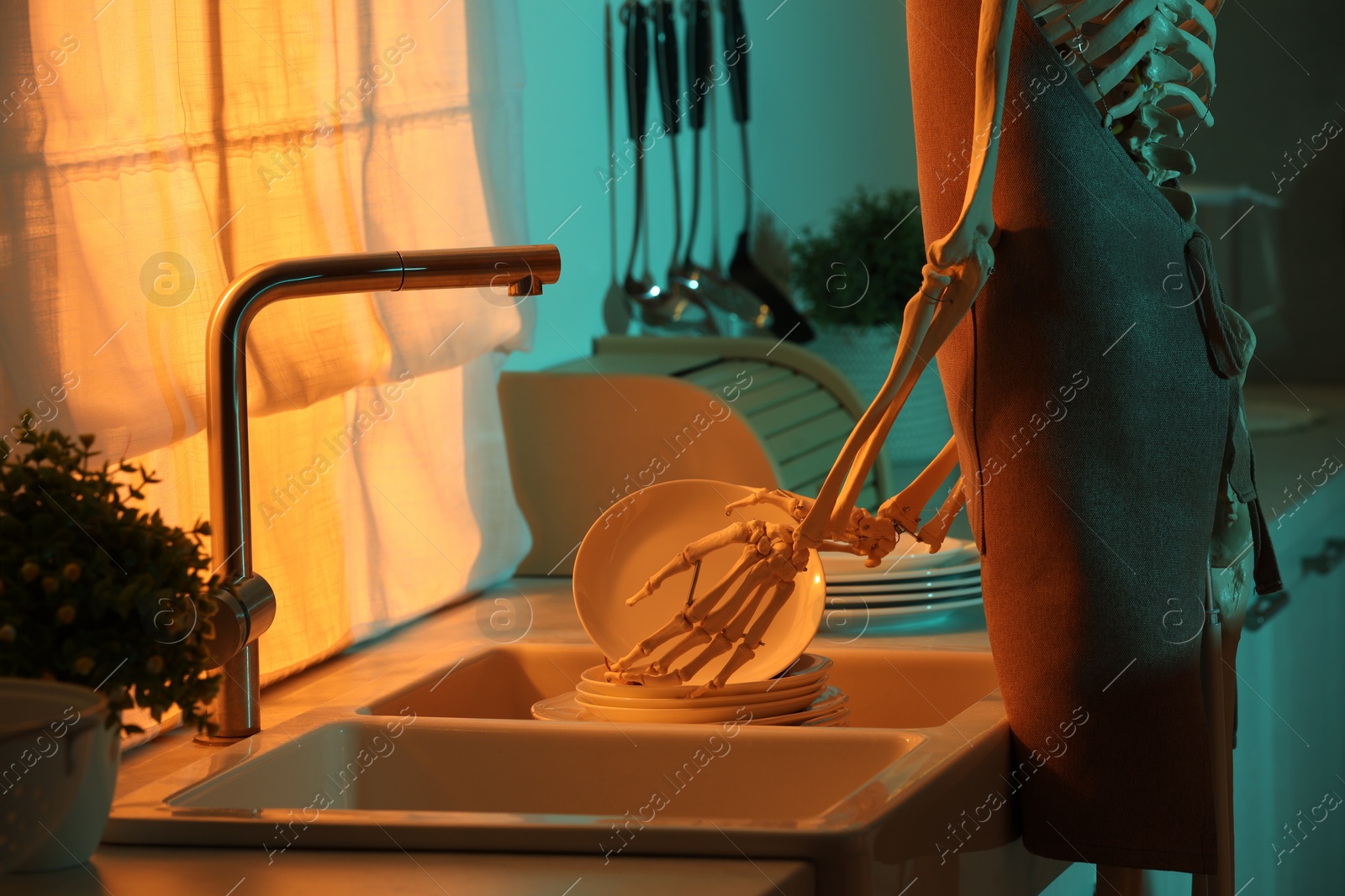 Photo of Human skeleton washing dishes in kitchen sink at night, closeup