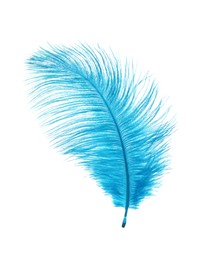 Photo of Beautiful delicate light blue feather isolated on white