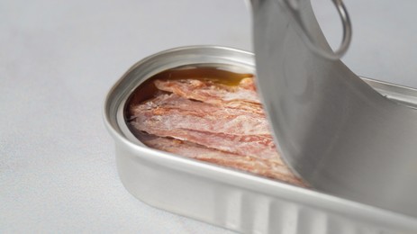 Anchovy fillets in open tin can on table, closeup