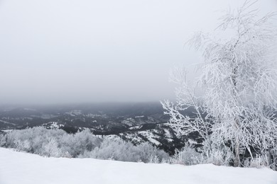 Picturesque view of trees covered with hoarfrost and snowy mountains on winter day