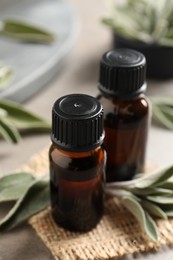 Photo of Bottles of essential sage oil, twigs and leaves on light grey table, closeup