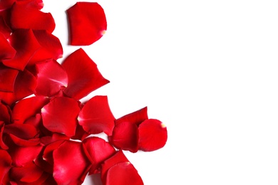 Photo of Red rose petals on white background, top view